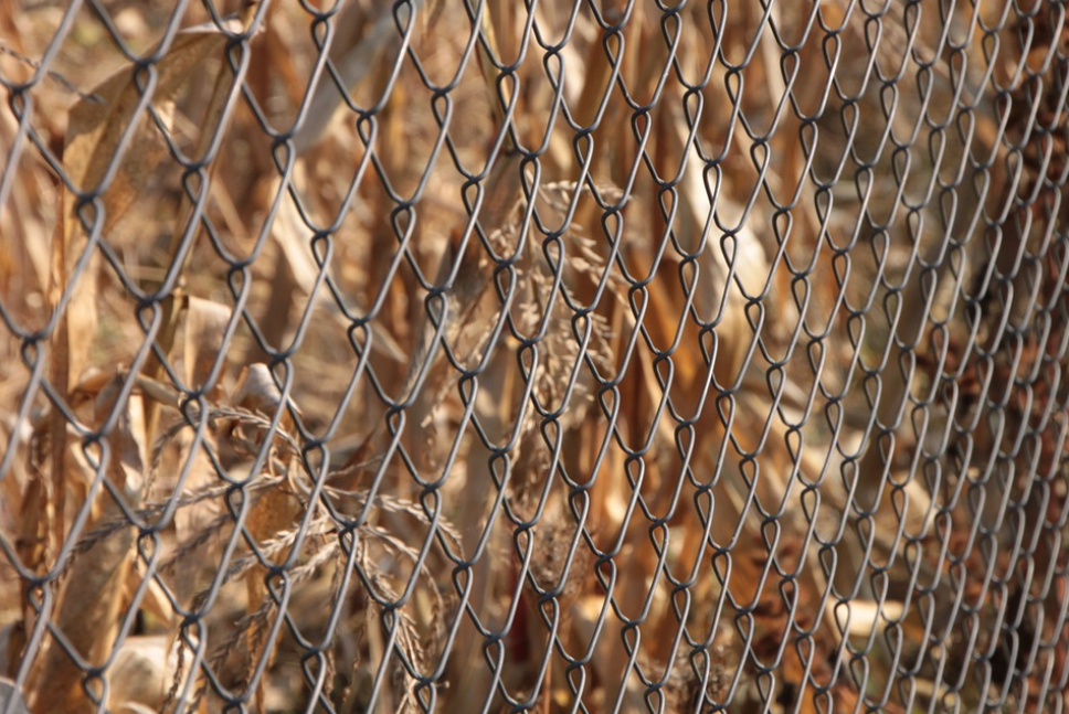 this image shows chain link fence in Broomfield, Colorado