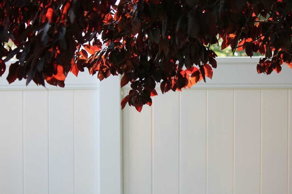 an image of vinyl fence in Broomfield, CO